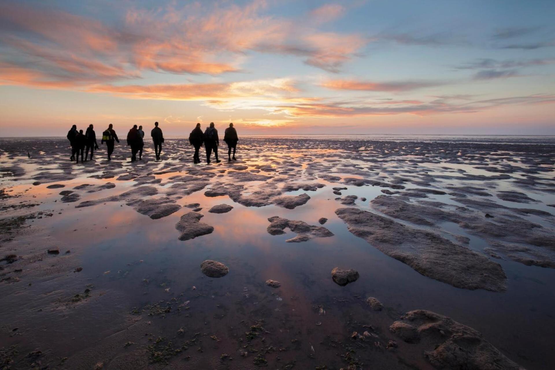Enjoy Natur, See Und Meer Chalet Lauwersoog- 1-6 Pers- 3 Schlafzimmer, 2 Badezimmer- Fruehes Einchecken Ab 14 Uhr Dış mekan fotoğraf
